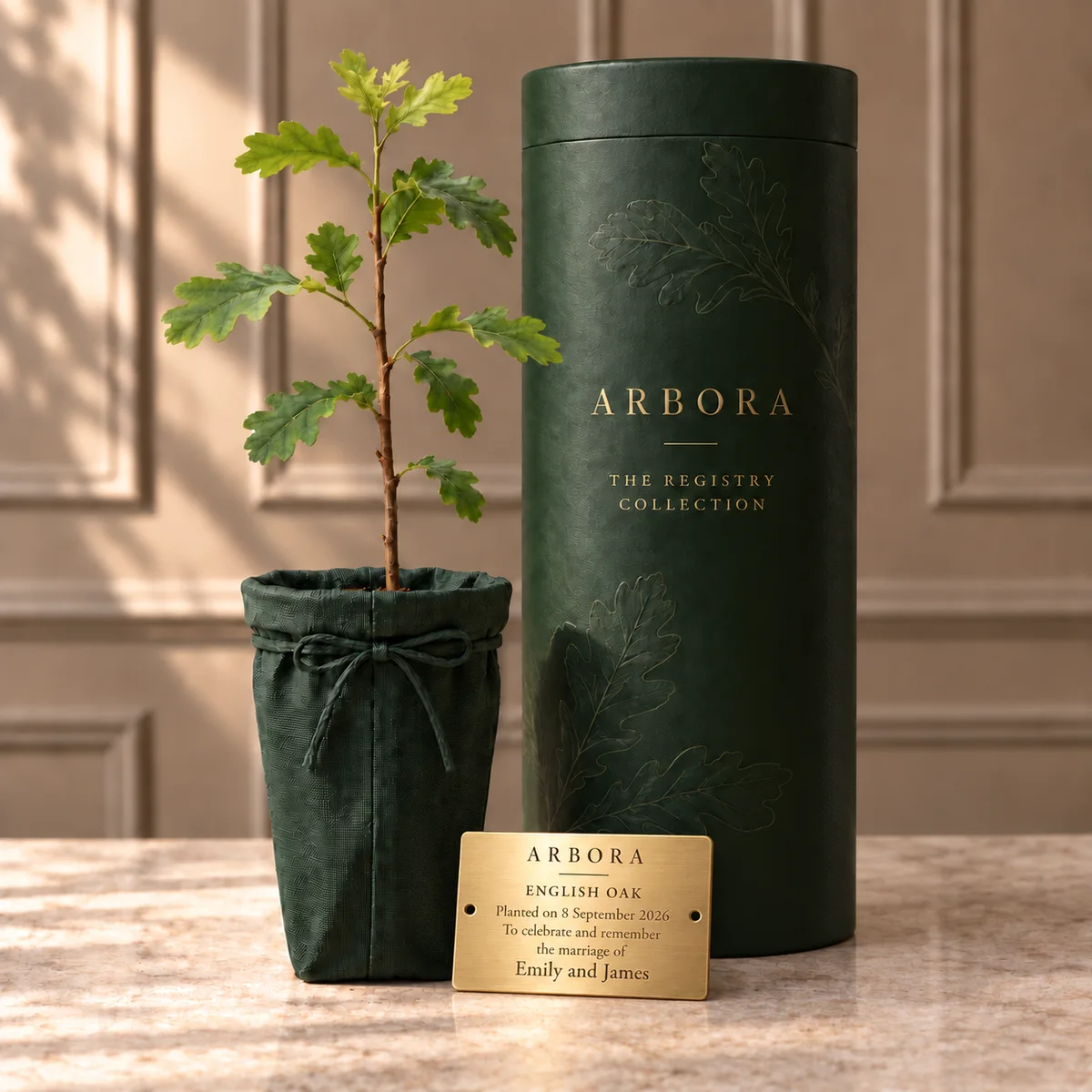 English Oak Registry tree with Arbora presentation box and personalised brass plaque